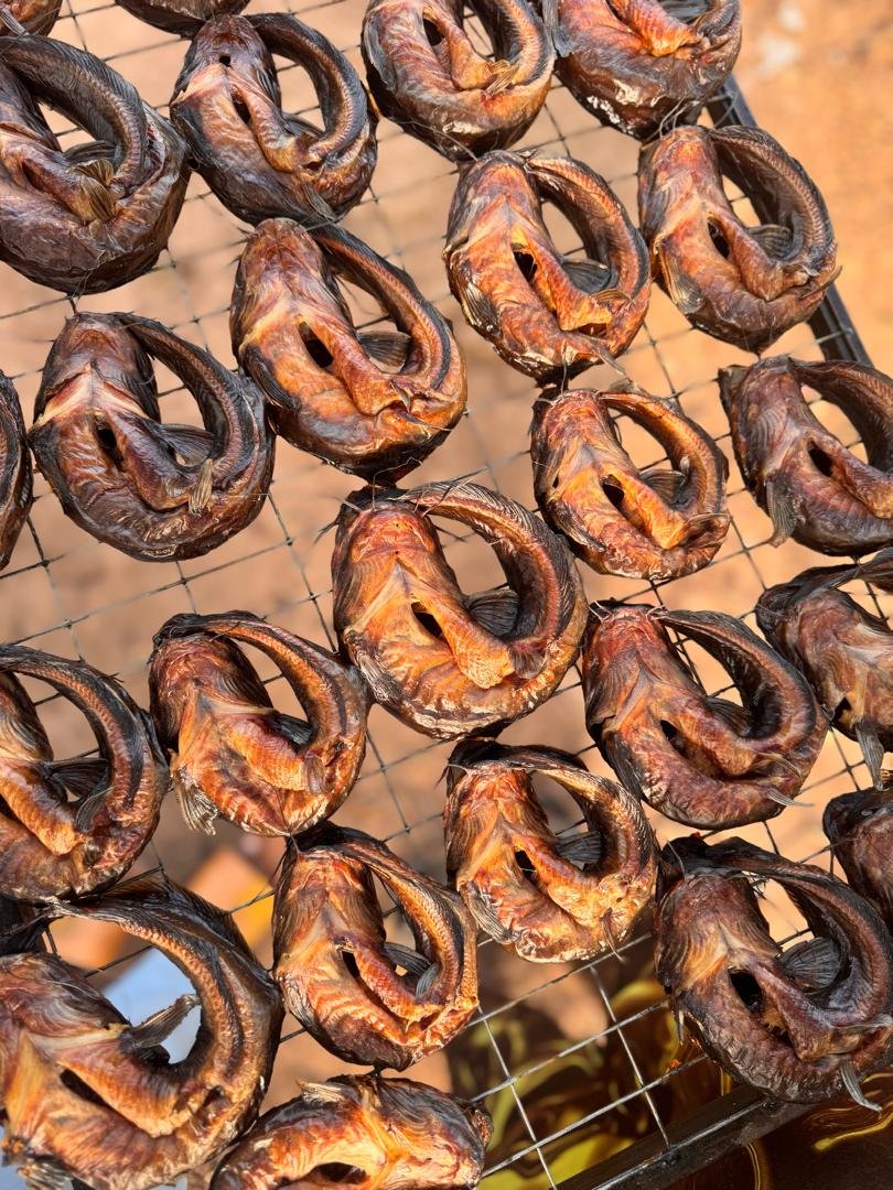 WhatsApp Image 2026-01-26 at 1.58.42 PM