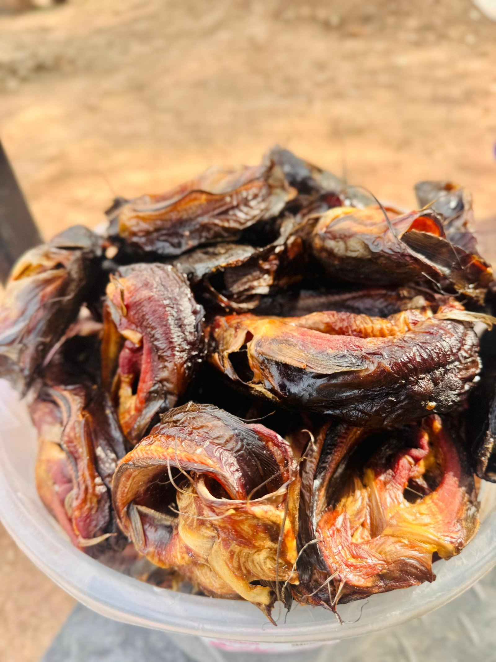 WhatsApp Image 2026-01-26 at 11.38.43 PM (1)