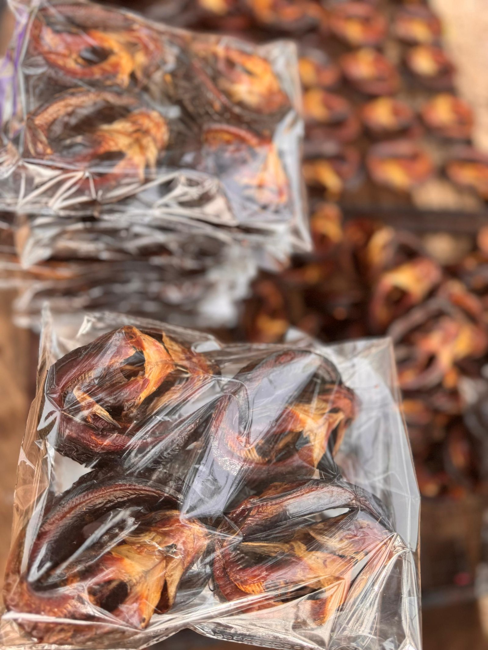 WhatsApp Image 2026-01-26 at 11.38.44 PM (1)