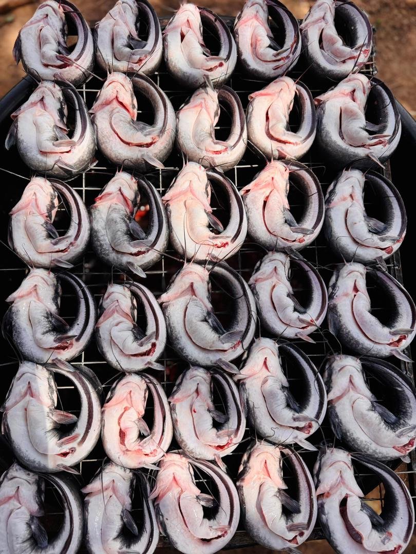 WhatsApp Image 2026-02-20 at 10.00.27 AM (3)